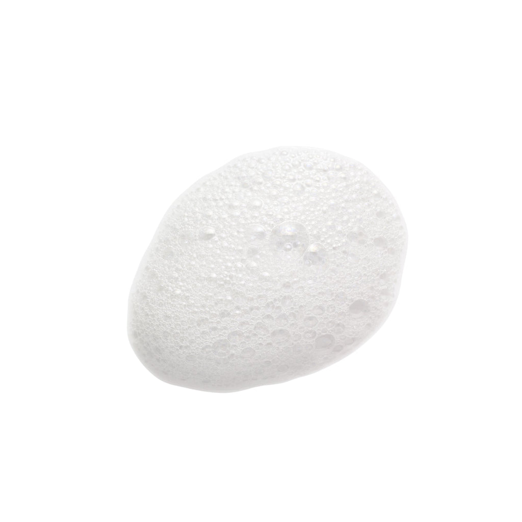 Shampooing Solide - Soin 2-en-1 Nourrissant & Démêlant